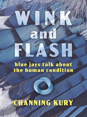 cover image of Wink and Flash